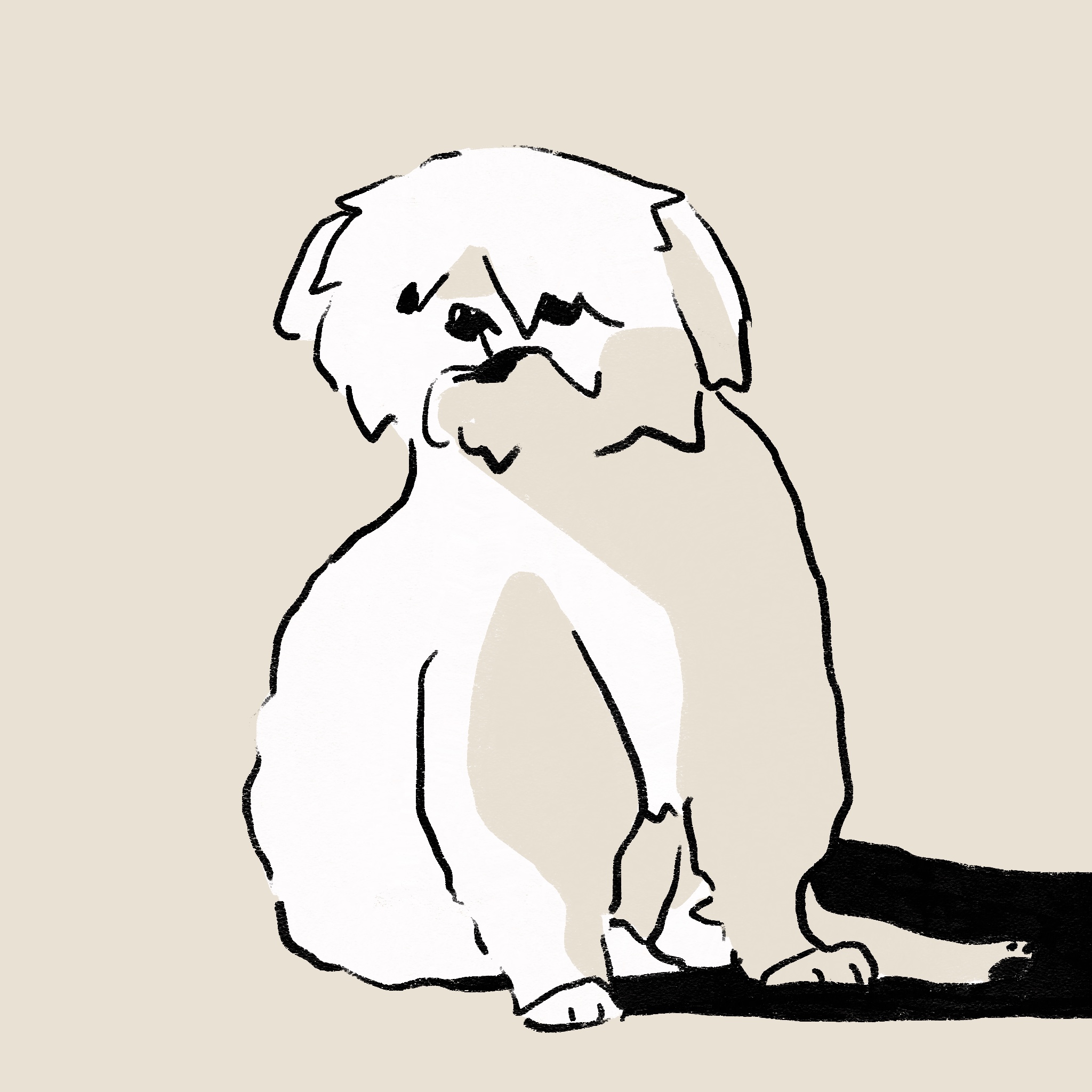 My boy, Ponzu (digital, 2023)