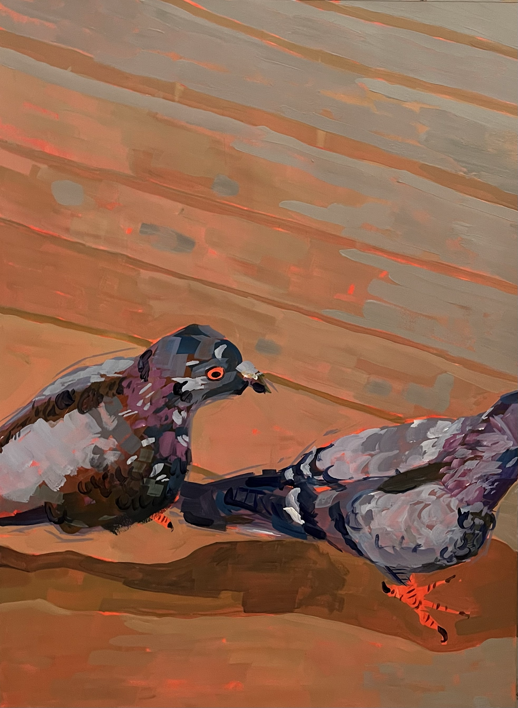 Pigeon friends (gouache, 2024)
